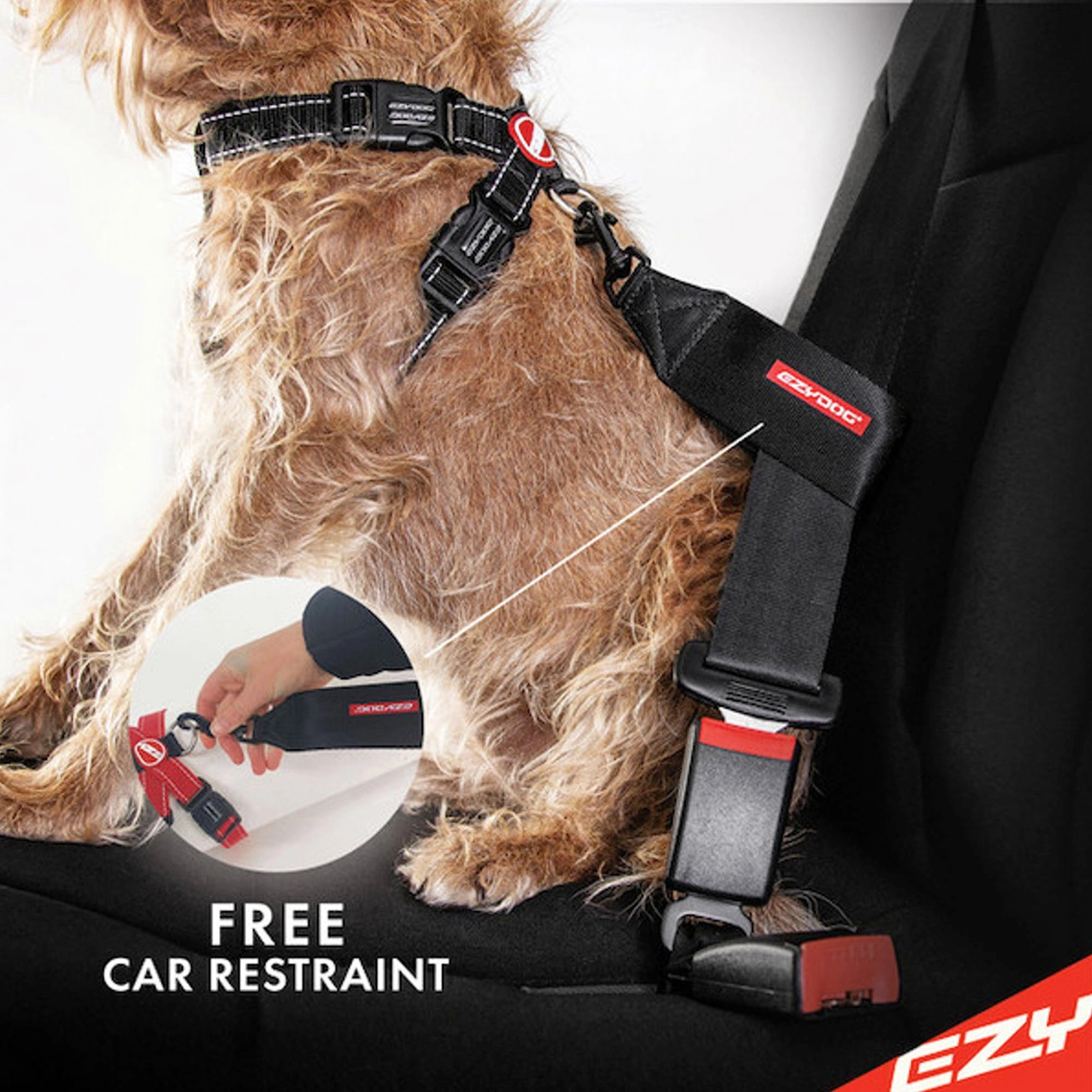 EzyDog Chest Plate Dog Harness - Orange