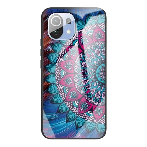 For Xiaomi Mi 11 Colorful Painted Glass Shockproof Protective Case(Big eyes