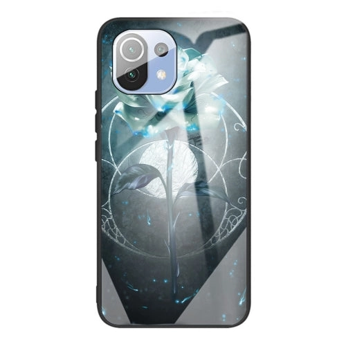 For Xiaomi Mi 11 Colorful Painted Glass Shockproof Protective Case(Big eyes