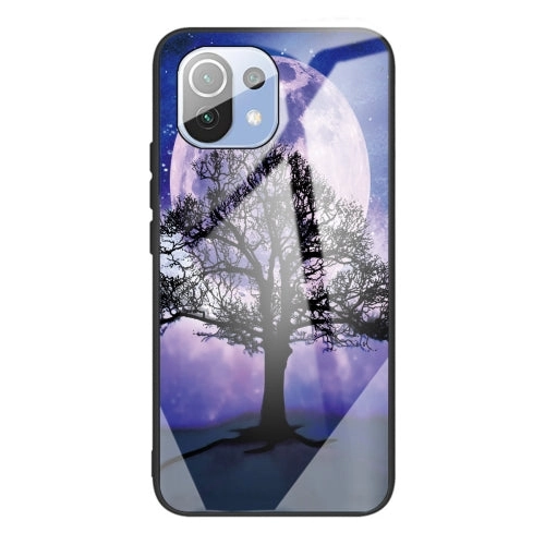 For Xiaomi Mi 11 Colorful Painted Glass Shockproof Protective Case(Big eyes