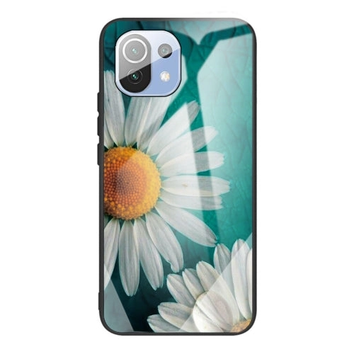 For Xiaomi Mi 11 Colorful Painted Glass Shockproof Protective Case(Big eyes