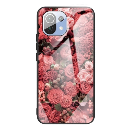 For Xiaomi Mi 11 Colorful Painted Glass Shockproof Protective Case(Big eyes