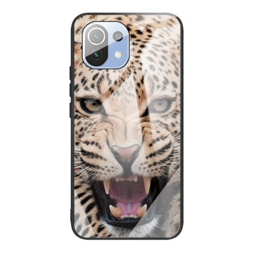 For Xiaomi Mi 11 Colorful Painted Glass Shockproof Protective Case(Big eyes