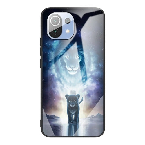 For Xiaomi Mi 11 Colorful Painted Glass Shockproof Protective Case(Big eyes