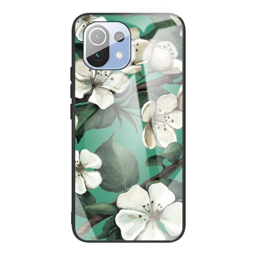For Xiaomi Mi 11 Colorful Painted Glass Shockproof Protective Case(Big eyes