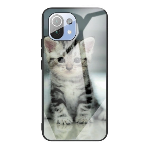 For Xiaomi Mi 11 Colorful Painted Glass Shockproof Protective Case(Big eyes
