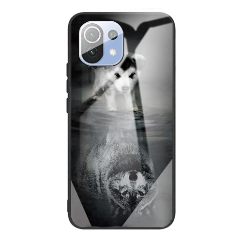 For Xiaomi Mi 11 Colorful Painted Glass Shockproof Protective Case(Big eyes