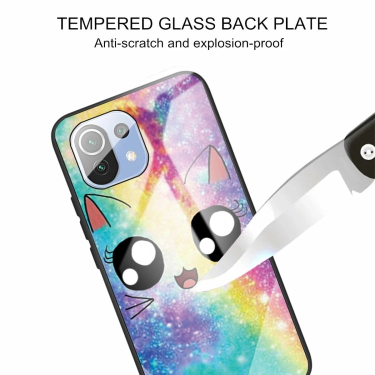 For Xiaomi Mi 11 Colorful Painted Glass Shockproof Protective Case(Big eyes