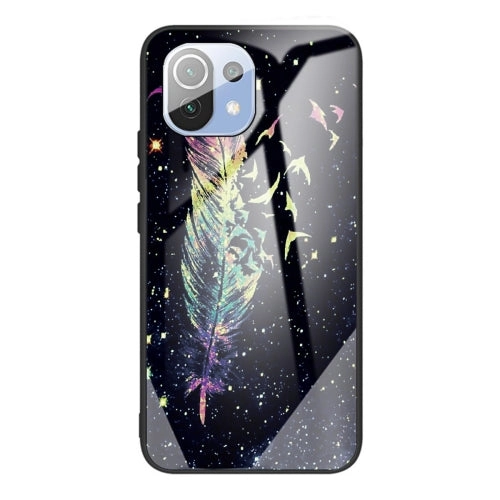 For Xiaomi Mi 11 Colorful Painted Glass Shockproof Protective Case(Big eyes