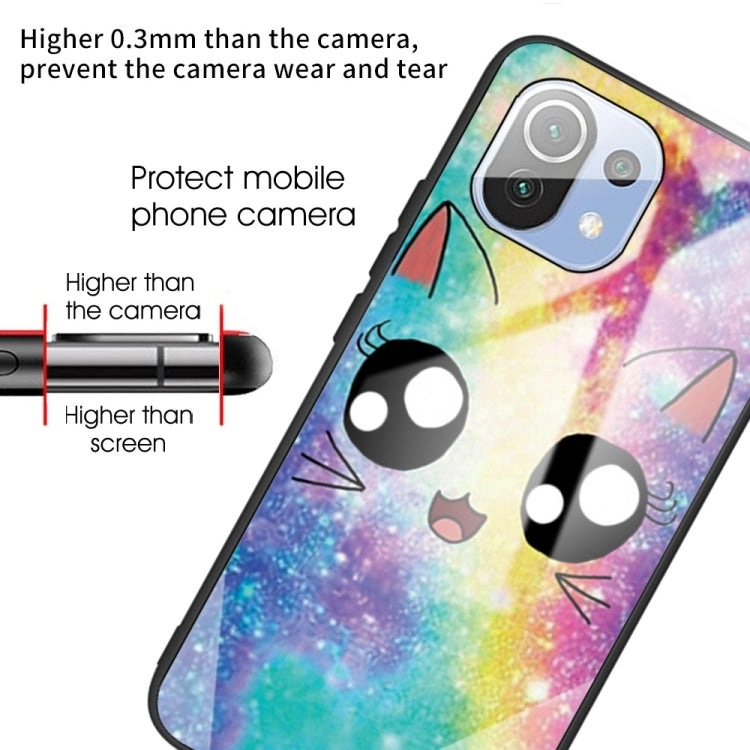 For Xiaomi Mi 11 Colorful Painted Glass Shockproof Protective Case(Big eyes