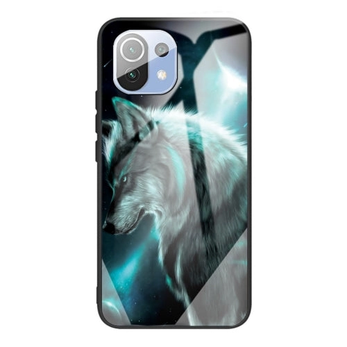 For Xiaomi Mi 11 Colorful Painted Glass Shockproof Protective Case(Big eyes