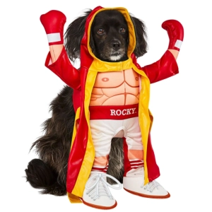 Rubie's Pet Shop Boutique Rocky Pet Costume