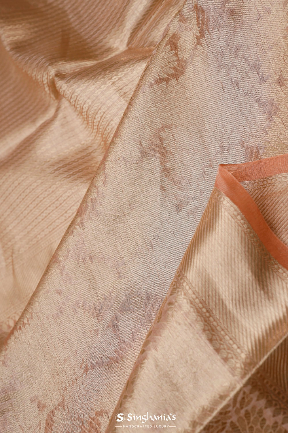 Salmon Gold Jaal Tissue Banarasi Saree
