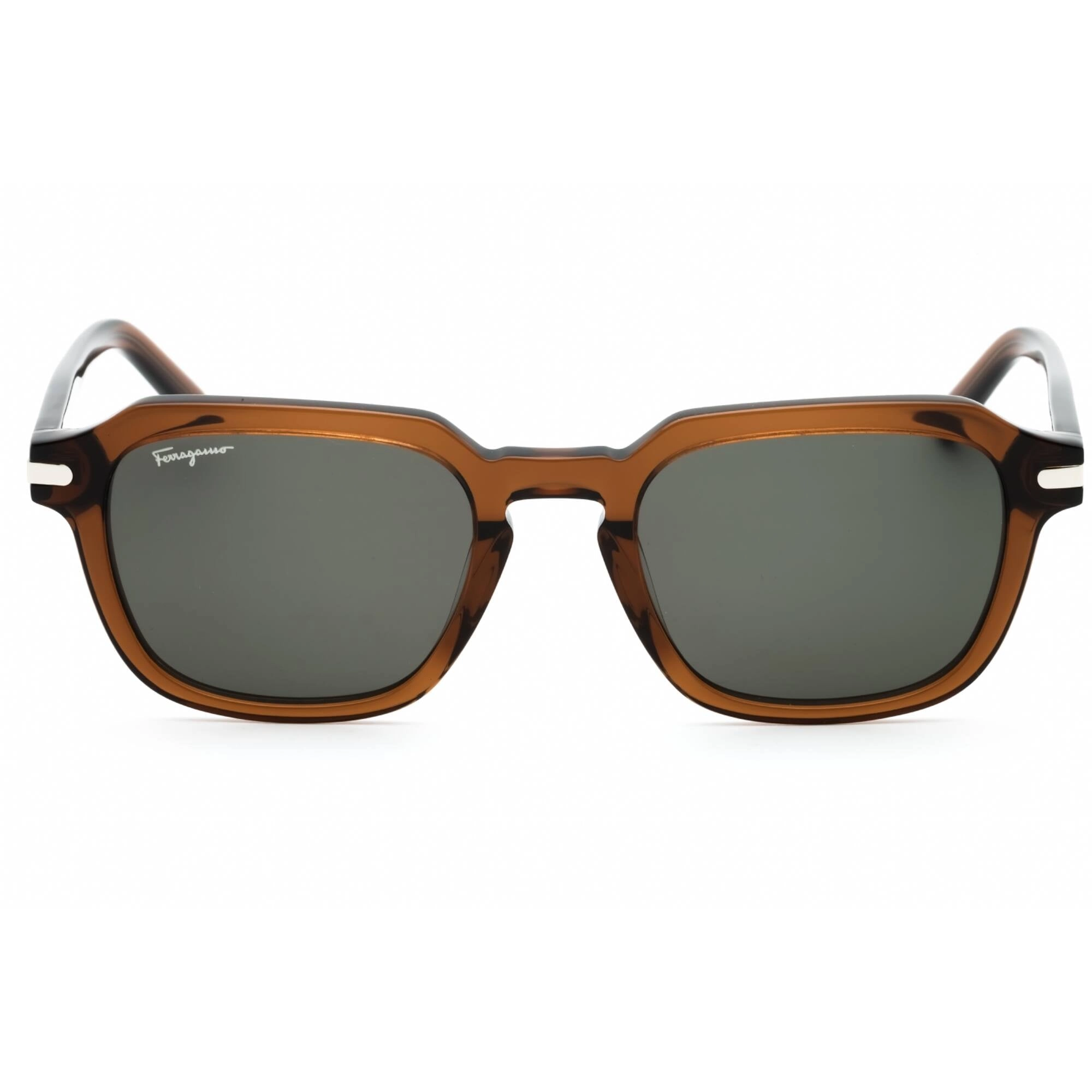Salvatore Ferragamo Men's Sunglasses - Transparent Brown Square Frame | SF1089S 278