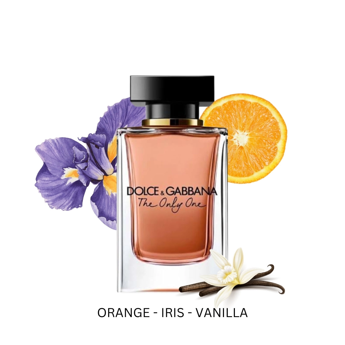 The Only One for Women By Dolce & Gabbana Eau de Parfum Spray