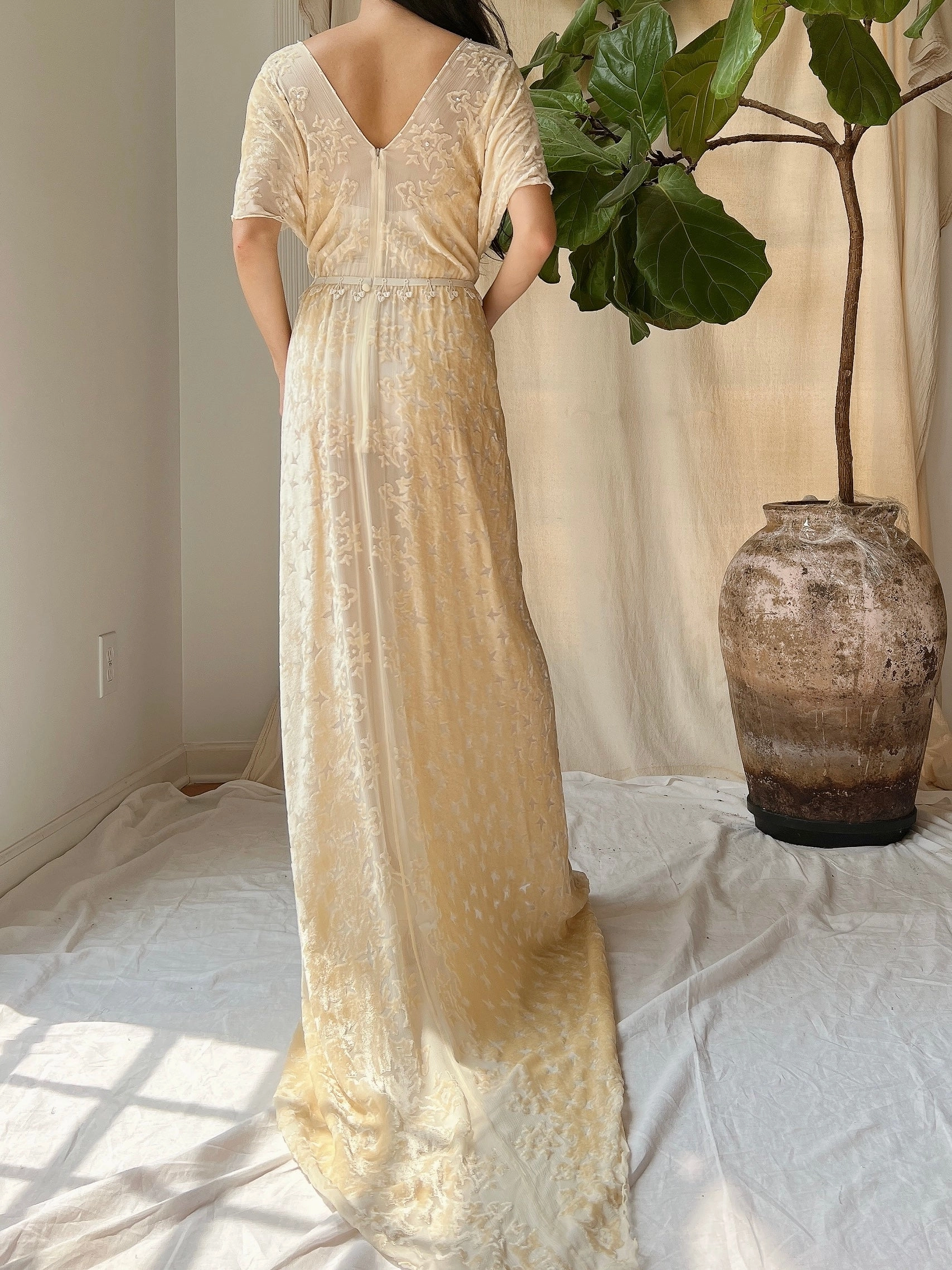 Vintage Silk Velvet Devore Gown - M/L