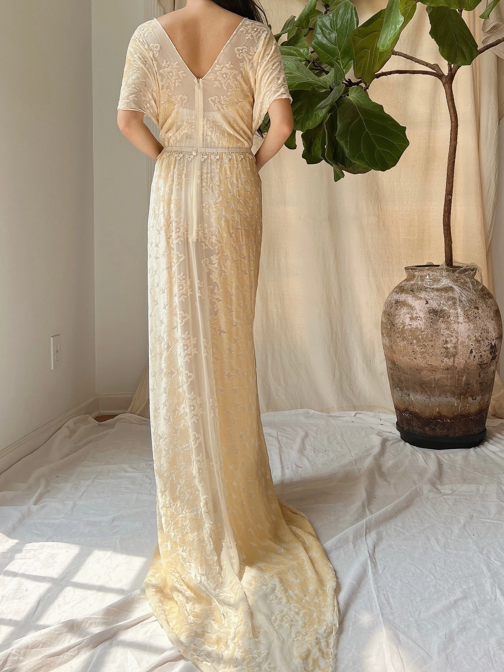 Vintage Silk Velvet Devore Gown - M/L