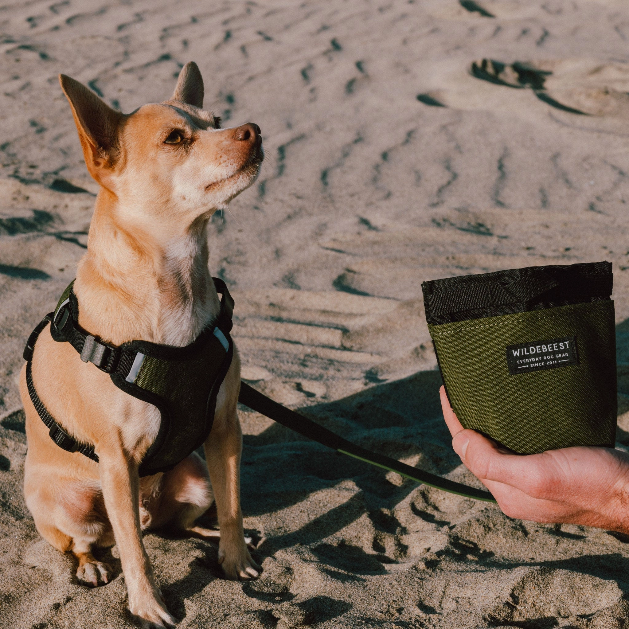 Wildebeest Alamo Treat Pouch - Olive